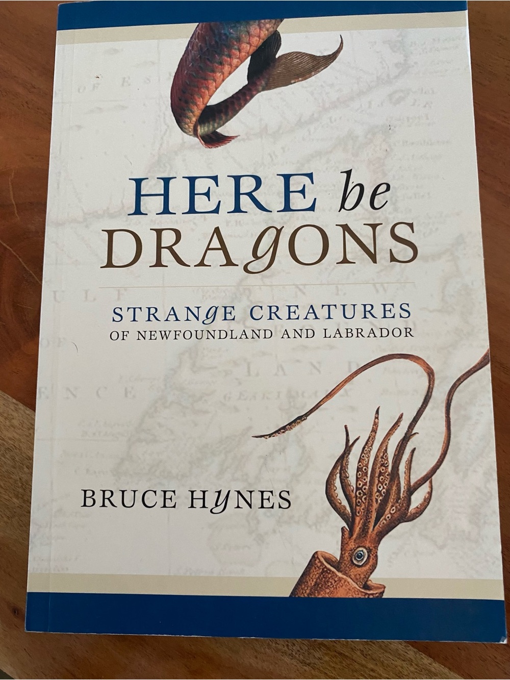 'Here Be Dragons' Decorative Coastal Book - Blue & Cream